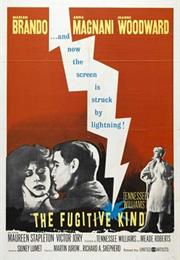 The Fugitive Kind (Sidney Lumet)