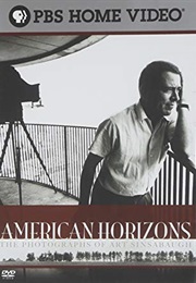 American Horizons: The Photographs of Art Sinsabaugh (2008)