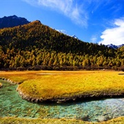 Daocheng, Sichuan