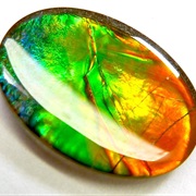 Ammolite