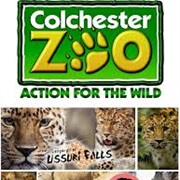 Colchester Zoo