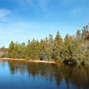 Blackwater River State Forest, Florida