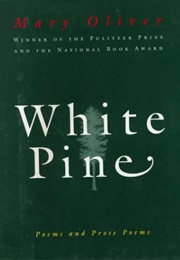 White Pine (Mary Oliver)