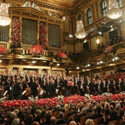 Attend Vienna New Year&#39;s Concert