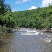 Garrett State Forest, Maryland