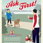 Dog Etiquette & Obedience