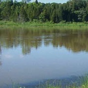 Adams Lake State Park, Ohio