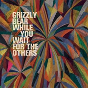 Grizzly Bear - While You Wait for the Others
