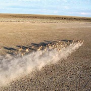 Sheldon National Wildlife Refuge