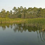 Crooked River State Park, Georgia