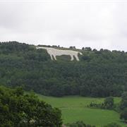 The White Horse Sutton Bank