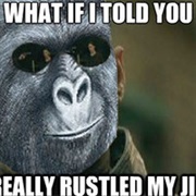 That Really Rustled My Jimmies