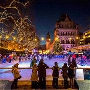 Ice Skating National History Museum