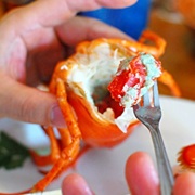 Lobster Roe