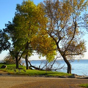 Grahams Island State Park, North Dakota