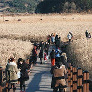 Suncheonman Bay Ecological Park