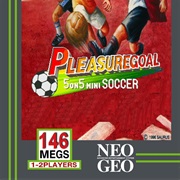 Pleasure Goal: 5 on 5 Mini Soccer