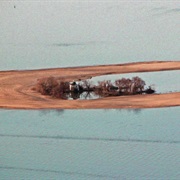 Susquehanna National Wildlife Refuge