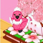 Cherry Blossom Bird