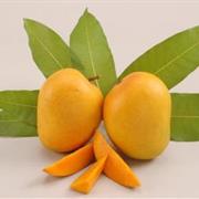 Alphonso Mango