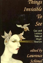 Things Invisible to See (Lawrence Schimel)