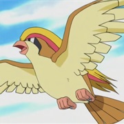 Pidgeot