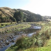 Mangahao-Makahika Track