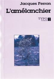 L'amélanchier De Jacques Ferron