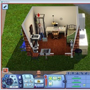 Play the Sims