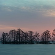 Mattamuskeet National Wildlife Refuge