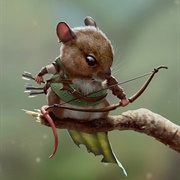 Robin Mouse Hood