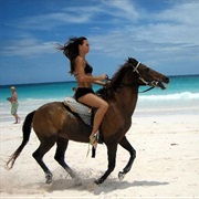 Go Horseback Riding