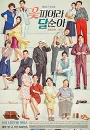 TV Novel - Dal Soon's Spring (Kdrama) (2017)