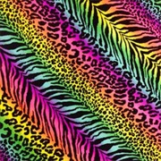 Neon Cheetah/Tiger Print