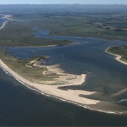 Scolt Head Island National Nature Reserve Norfolk