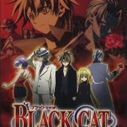 Black Cat