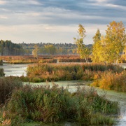 Losiny Ostrov National Park