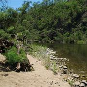 Yabbra National Park (NSW)
