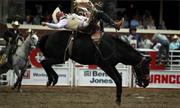 Visit a Real Texas Rodeo