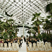 Crystal Garden at Navy Pier