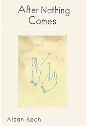 After Nothing Comes (Aidan Koch)