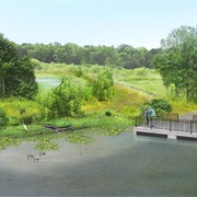 Huntley Meadows Park, Virginia