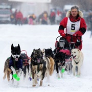 Watch the Canadian Challenge, SK