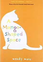 A Mango-Shaped Space (Wendy Mass)