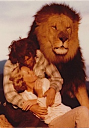 Wild Cats, Roar (1981)