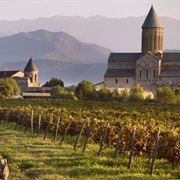 Visit Vineyards in Georgia