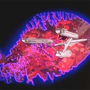 "The Immunity Syndrome"