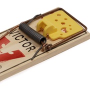 Mousetrap