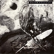 David Sylvian - Secrets of the Beehive