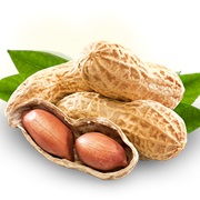Peanut